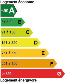  diagnostic de performance énergétique A - Viager Conseils 