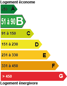  diagnostic de performance énergétique B - Viager Conseils 