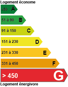  diagnostic de performance énergétique G - Viager Conseils 