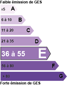  diagnostic de performance énergétique E - Viager Conseils 