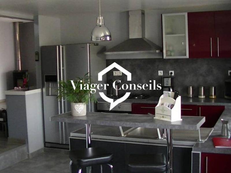 Viager conseils